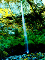 Elowah Falls Wall Summertime